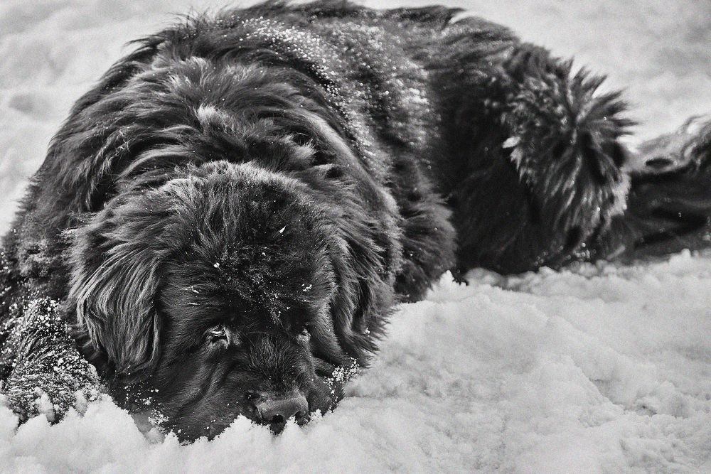 Photograph by Ксения Щербань