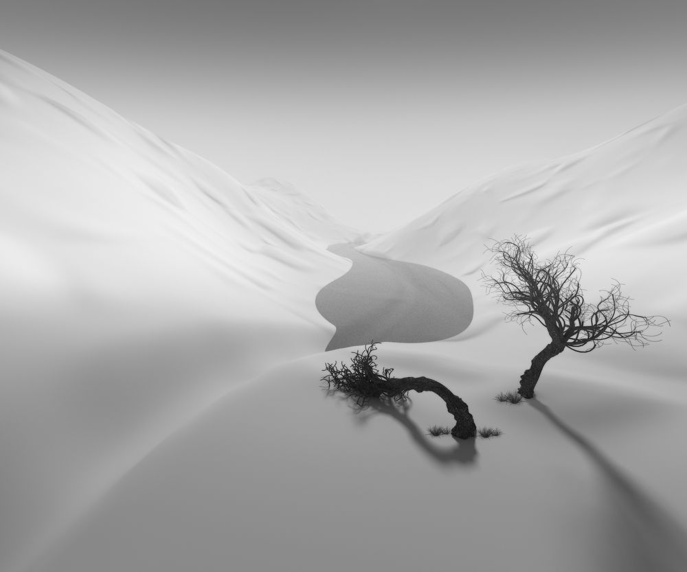 Photograph by Amirhossein Naghian