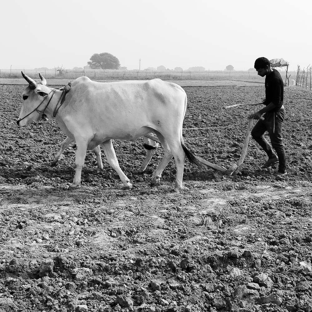 Photograph by Deepak Singh
