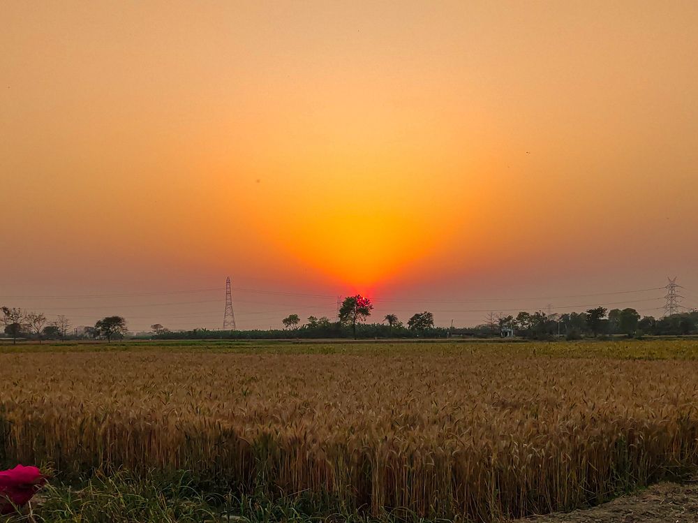 Photograph by Masud Rana Ansary