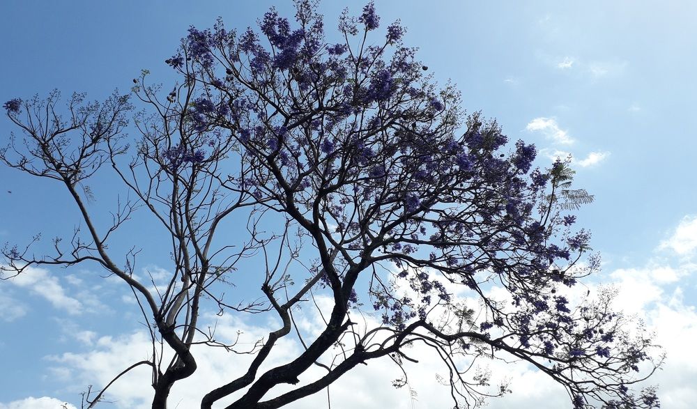 Photograph by Nikira Govender