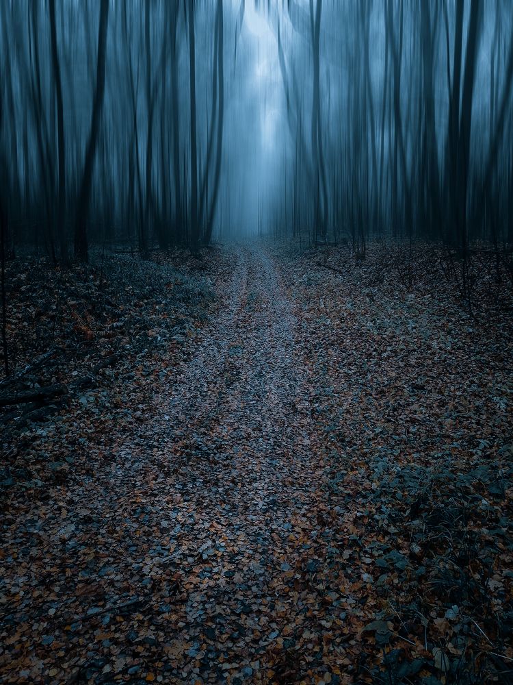 Photograph by Denis Romanov