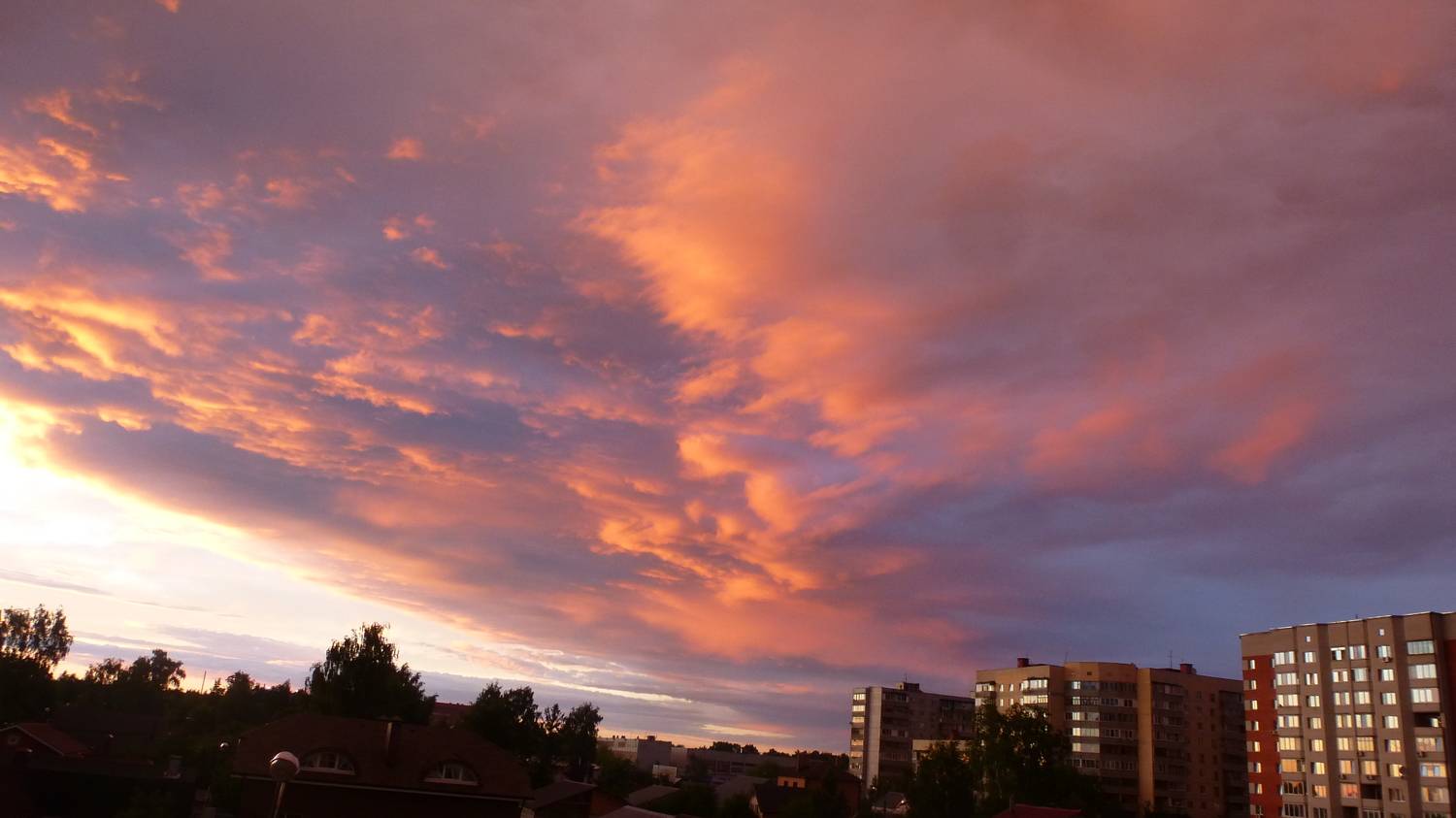Photo #7463588