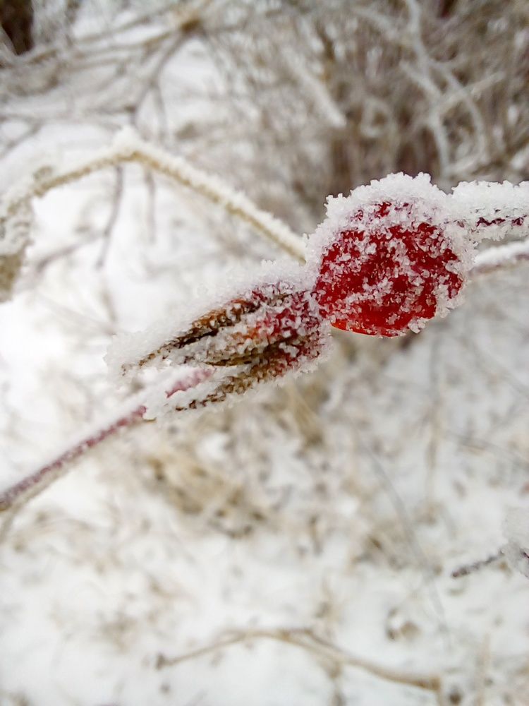 Photograph by Татьяна Собенникова