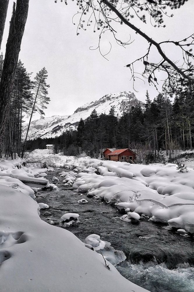 Photograph by Юлия Поликарпова