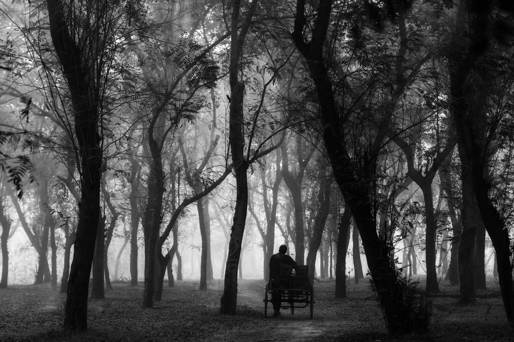 Photograph by AMAN ANAND