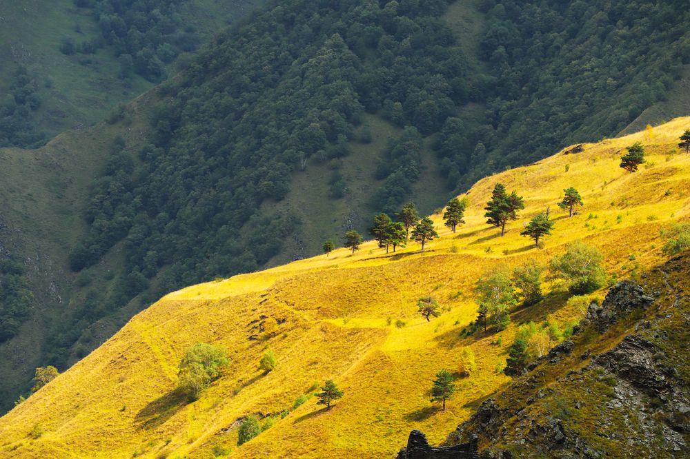 Photograph by Anna Perevozchikova