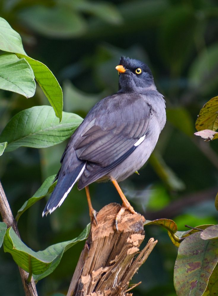 Who spoiled my world