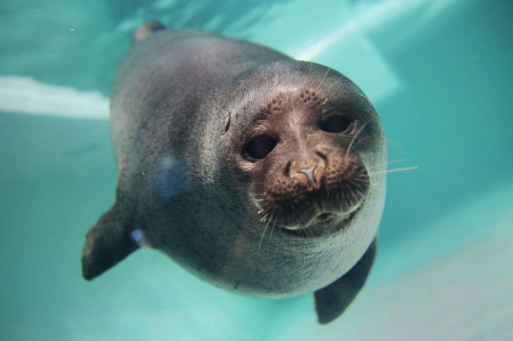 Photograph by Сергей