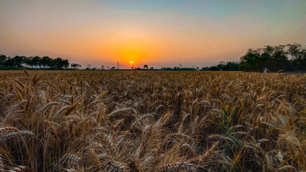 Photograph by Masud Rana Ansary