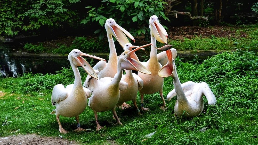 Photograph by Максим Солдатенко