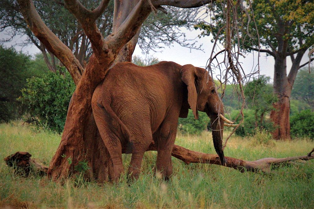 Photograph by Epp Tappel