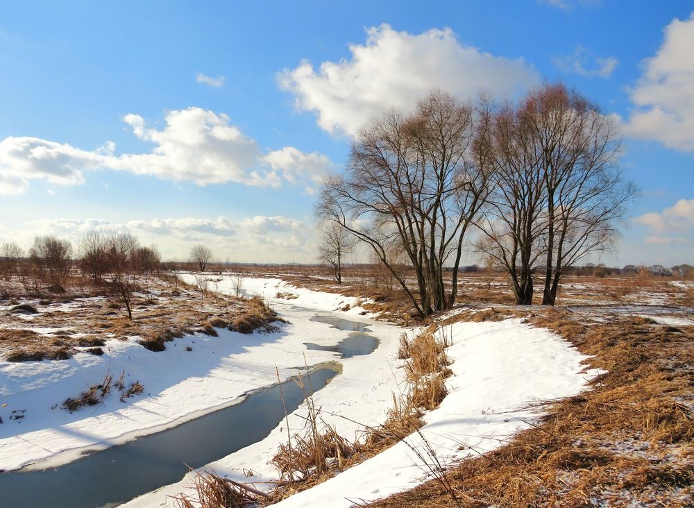 Весна пришла!