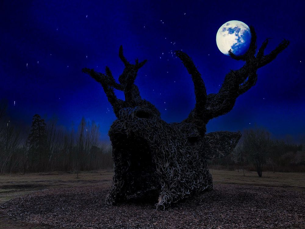 Photograph by Sandor Zoltan Gal