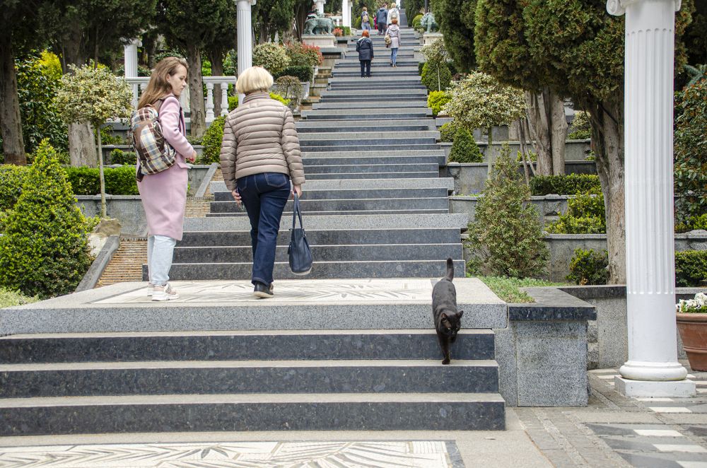 Photograph by Надежда Михайлина