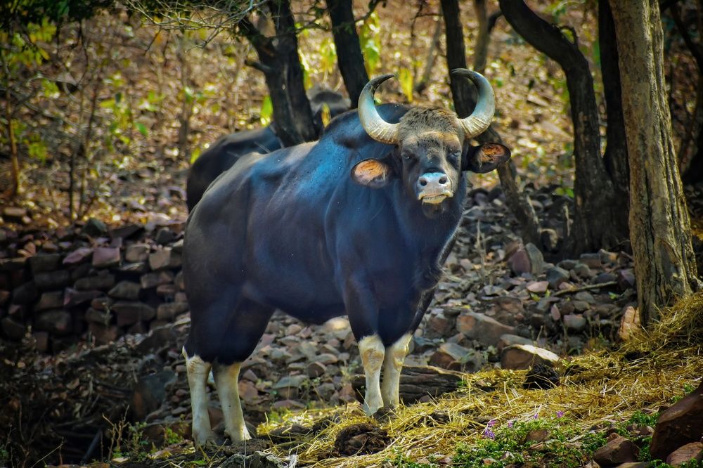 Hey Can you take a picture of me?