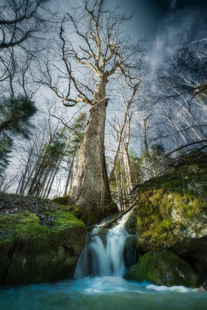 Photograph by Александр Орнатский