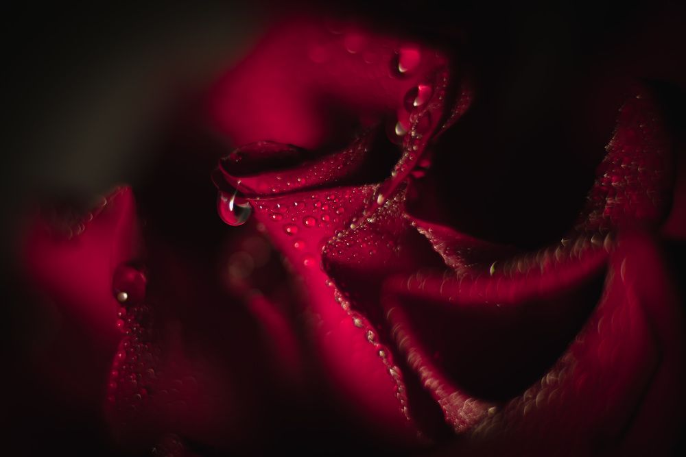 Photograph by Анна Бобкова