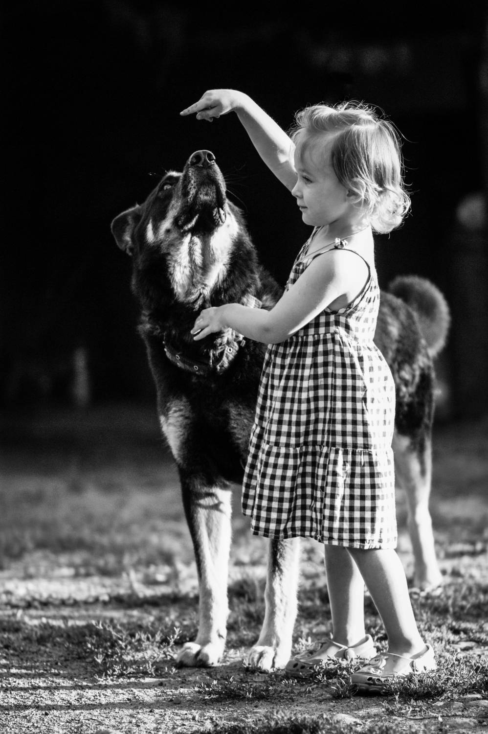 Photo #7464370