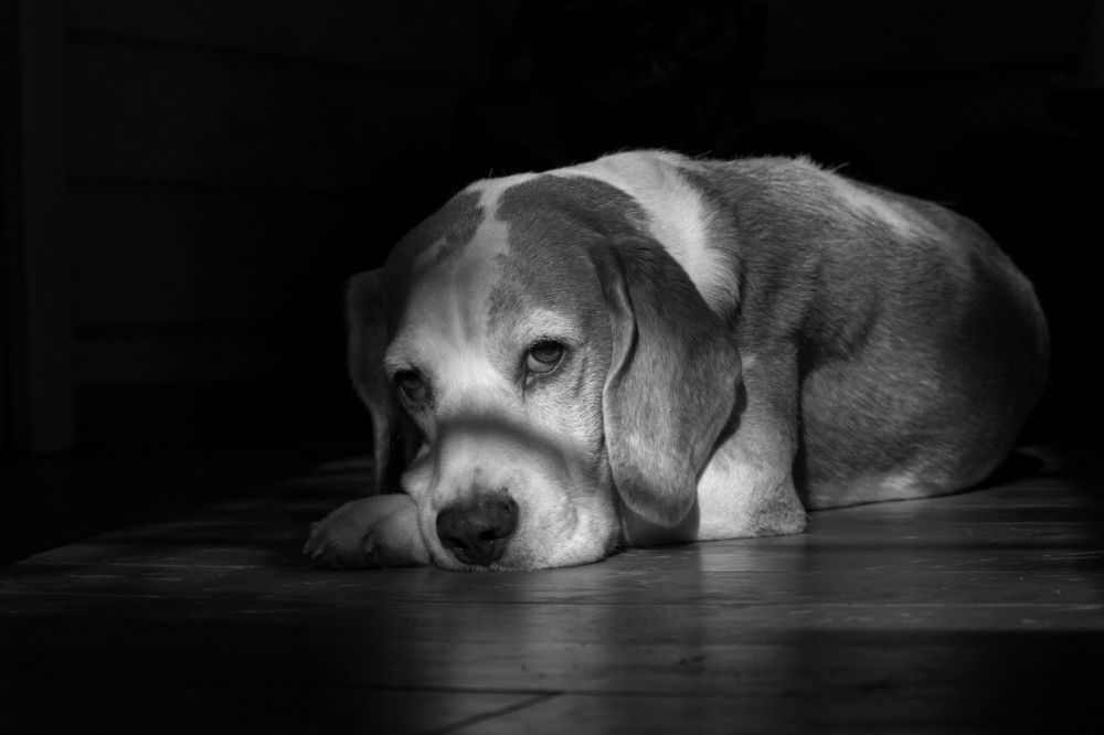 Photograph by Юлия Куликова