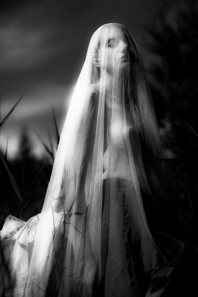 Загадка природы