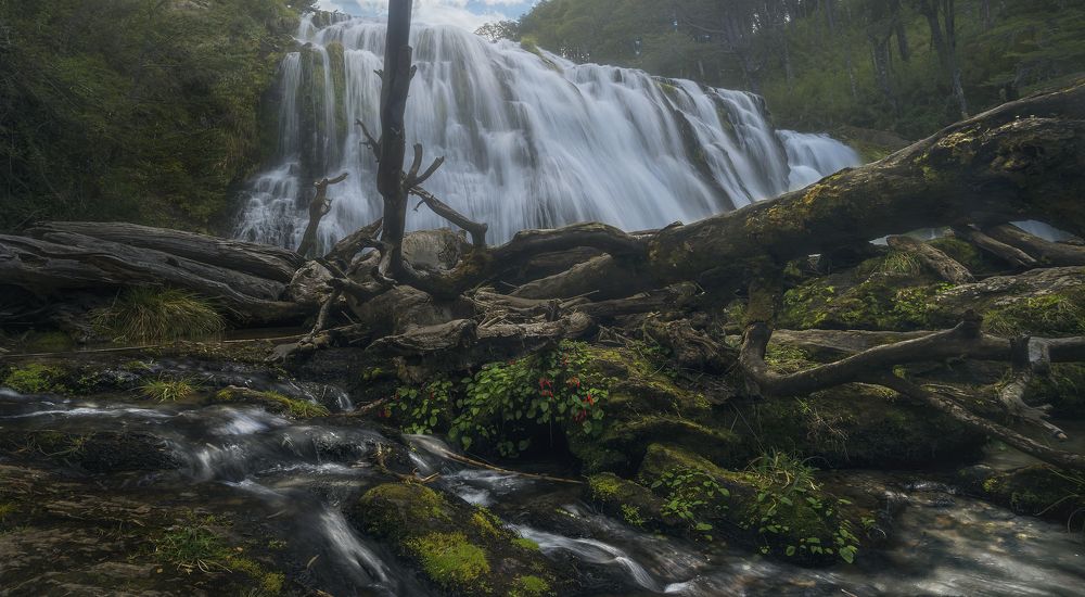 Фотография автора Matias López