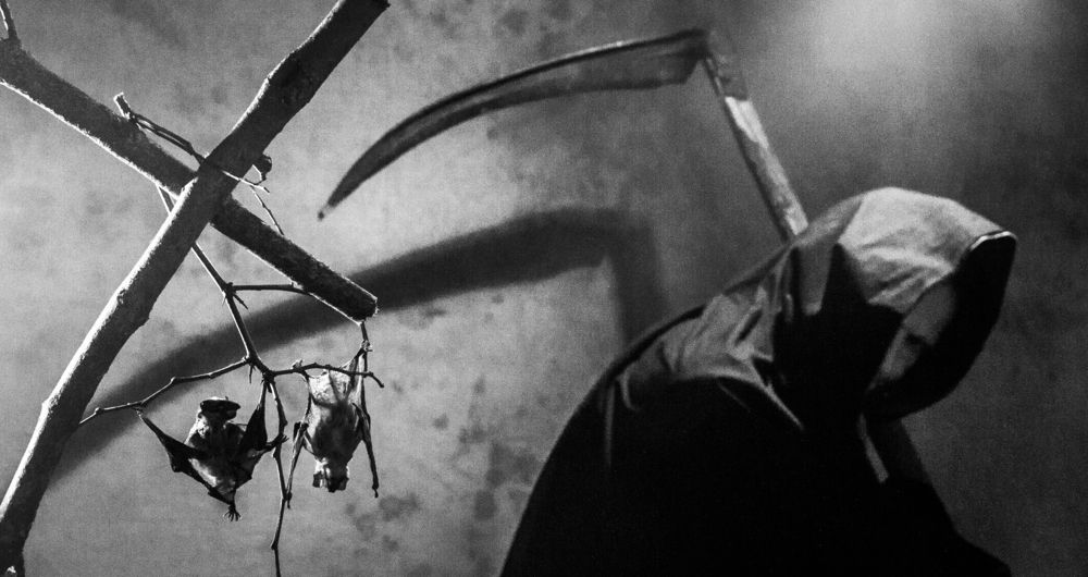 Photograph by Виктор Черкасов