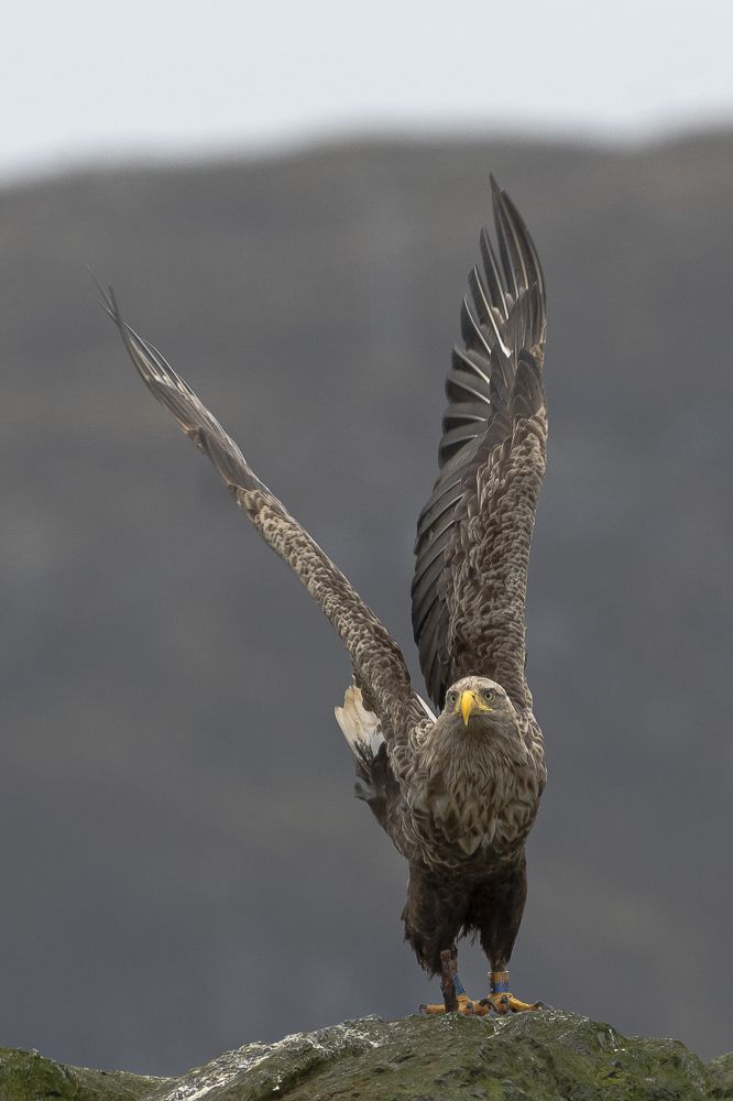 Photograph by Eva Frisnes