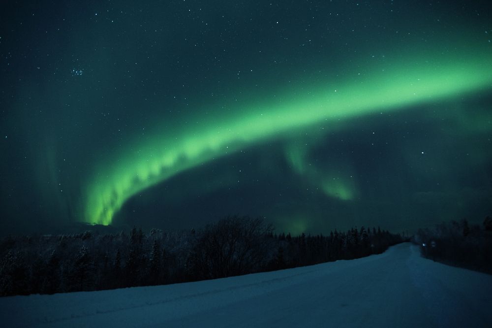Фотография автора Андрей Русских