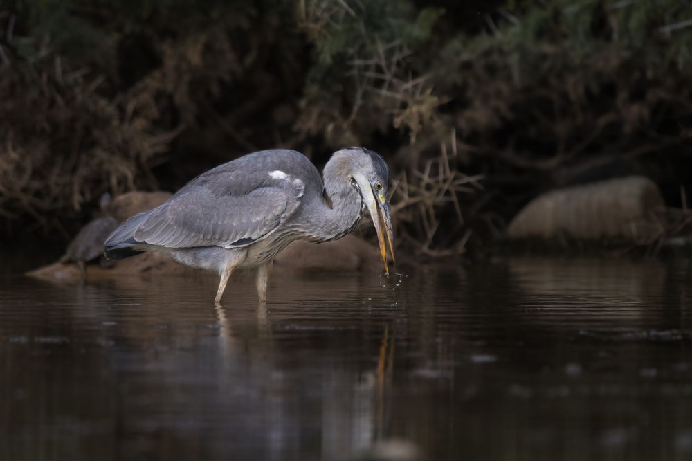 Фотография автора Mehdi EL Baqali