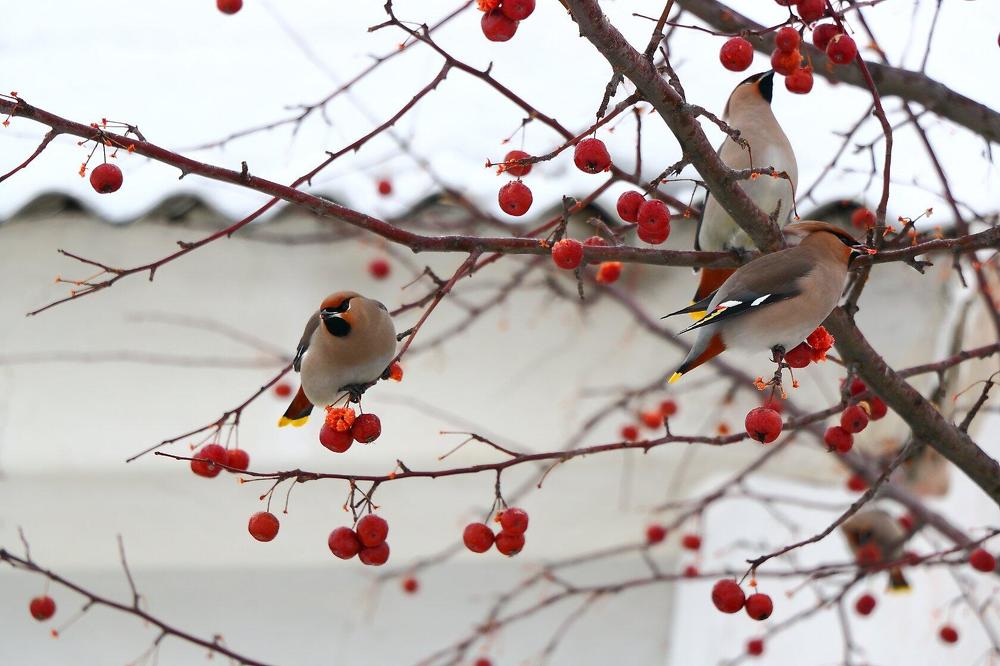 Photograph by Юрий Десятов