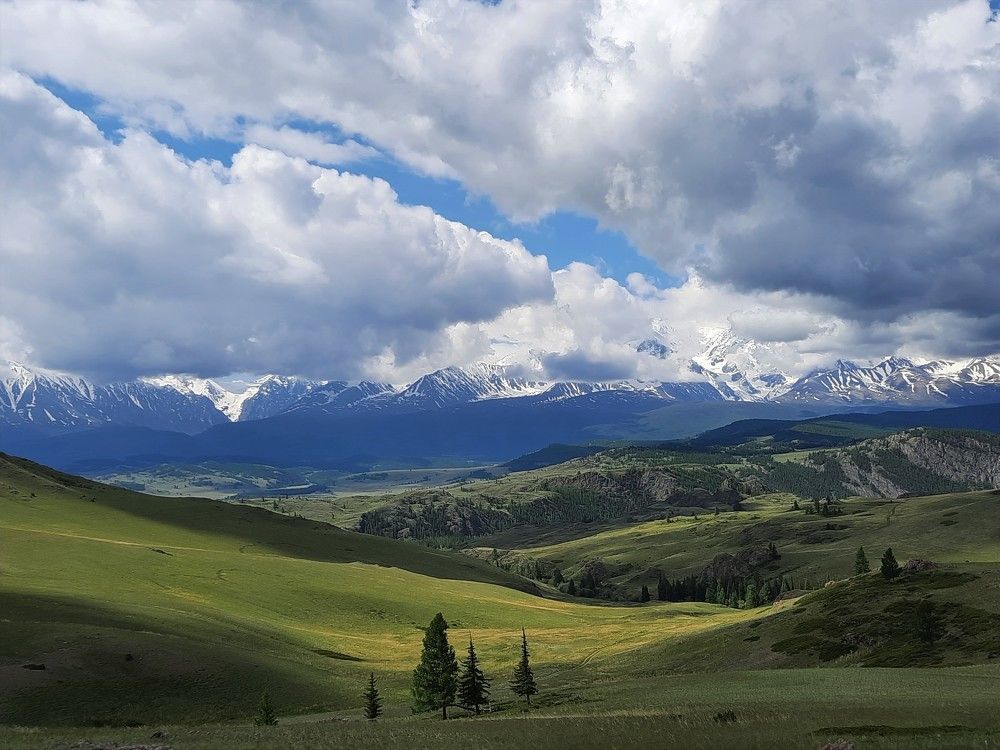 Фотография автора Елена Пикатова