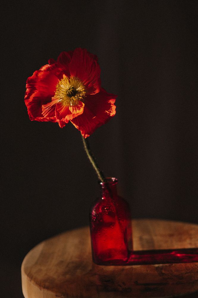 Photograph by Ксения Лаевская