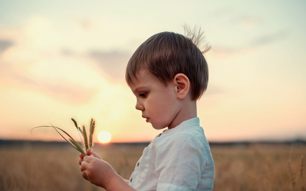 Photograph by Светлана Тетера