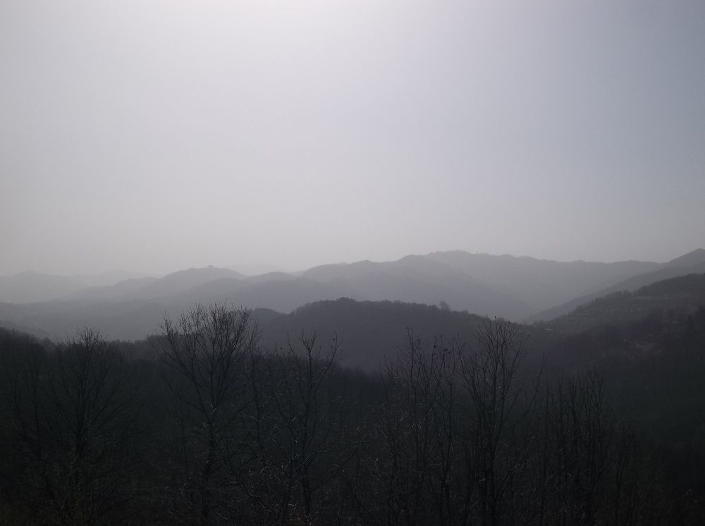 Photograph by Георги Колев