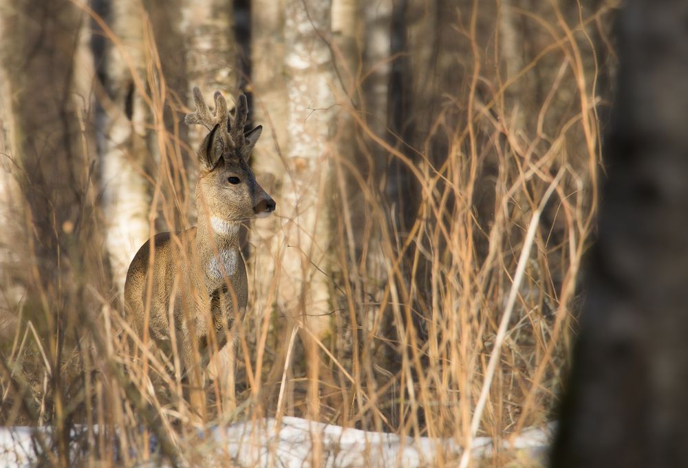 Photograph by Сергей Троицкий