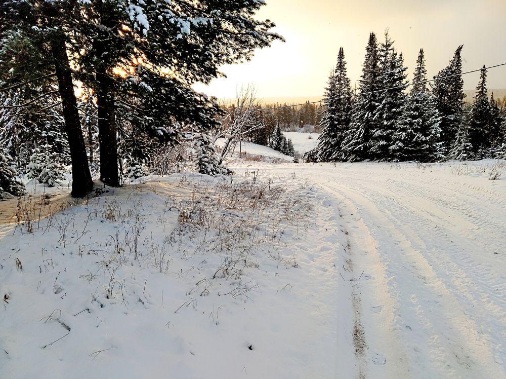 Photograph by Анатолий Майдуров