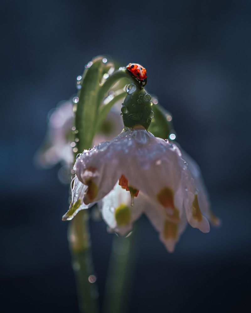 Пробуждение природы