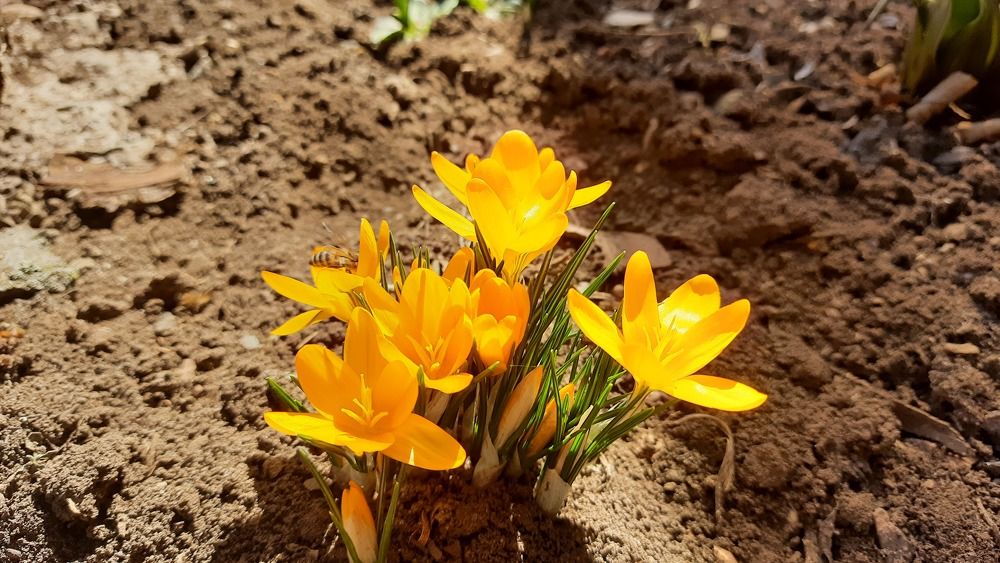 Photograph by ИГОРЬ