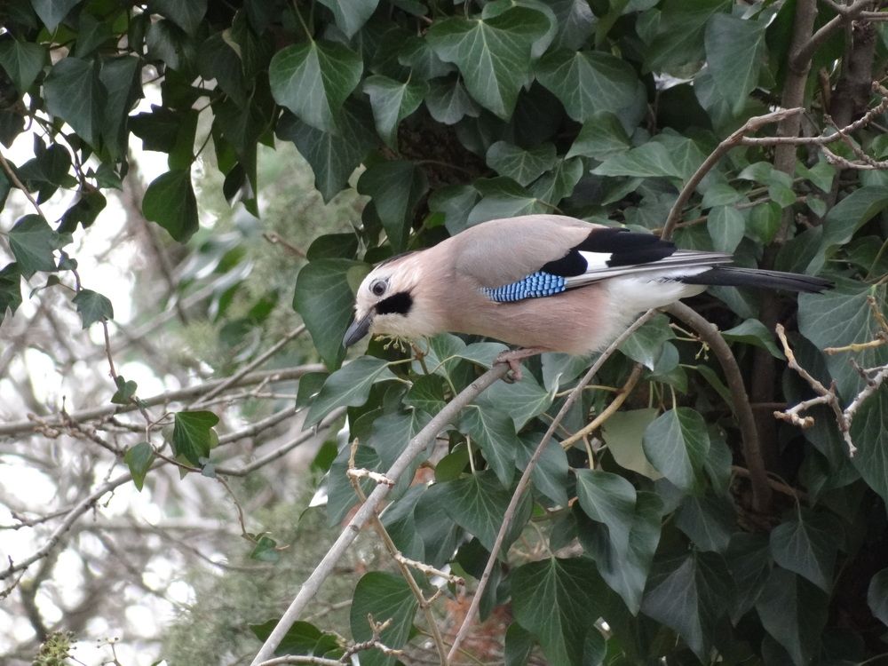 Photograph by Галина Сабитова