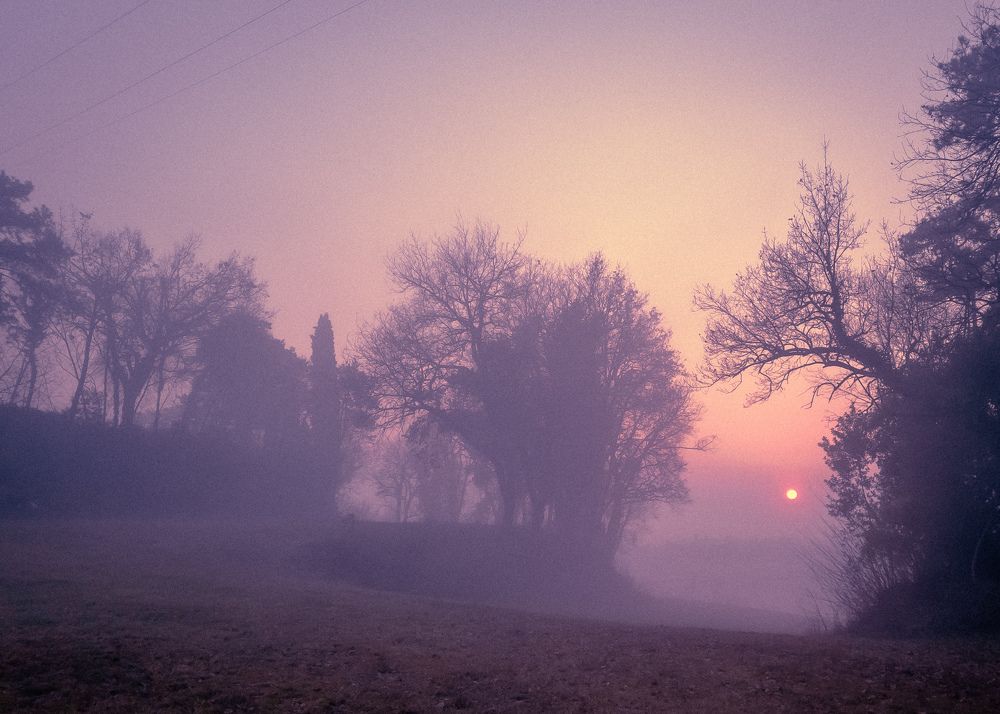 Photograph by Yulia Bilato