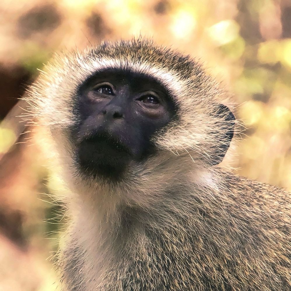 Photograph by Epp Tappel