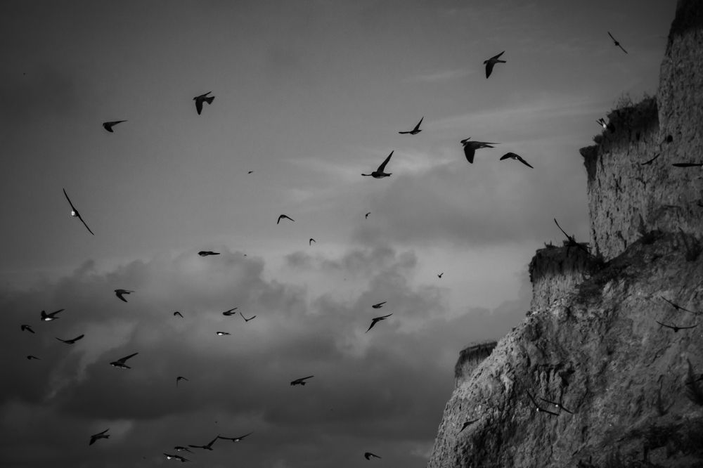 Photograph by Сергей Зуденко