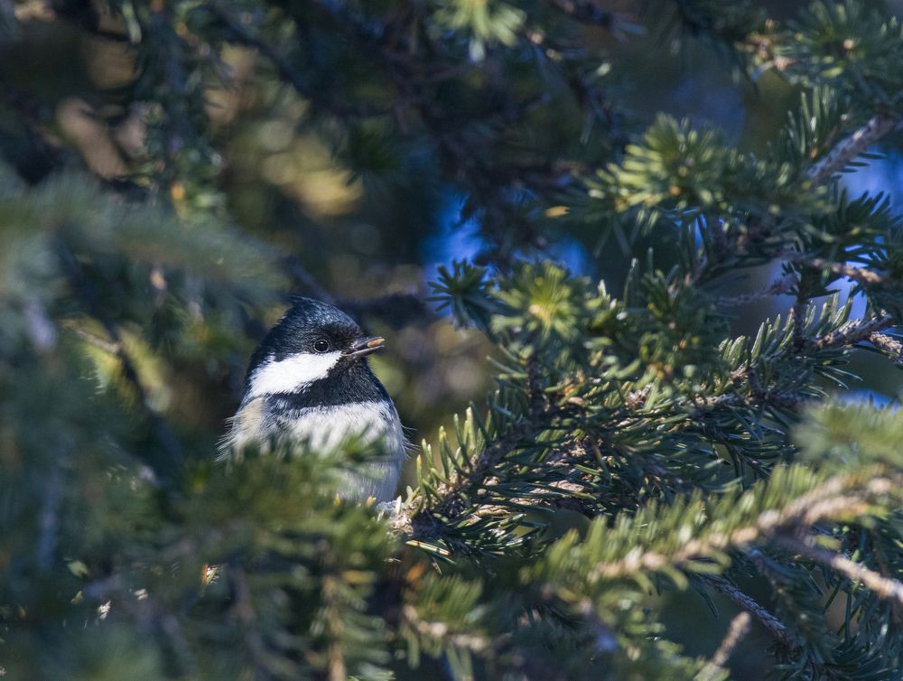 Photograph by Константин Данилов