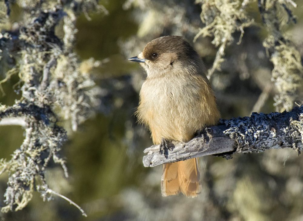 Photograph by Константин Данилов