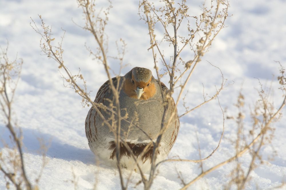 Photograph by Константин Данилов