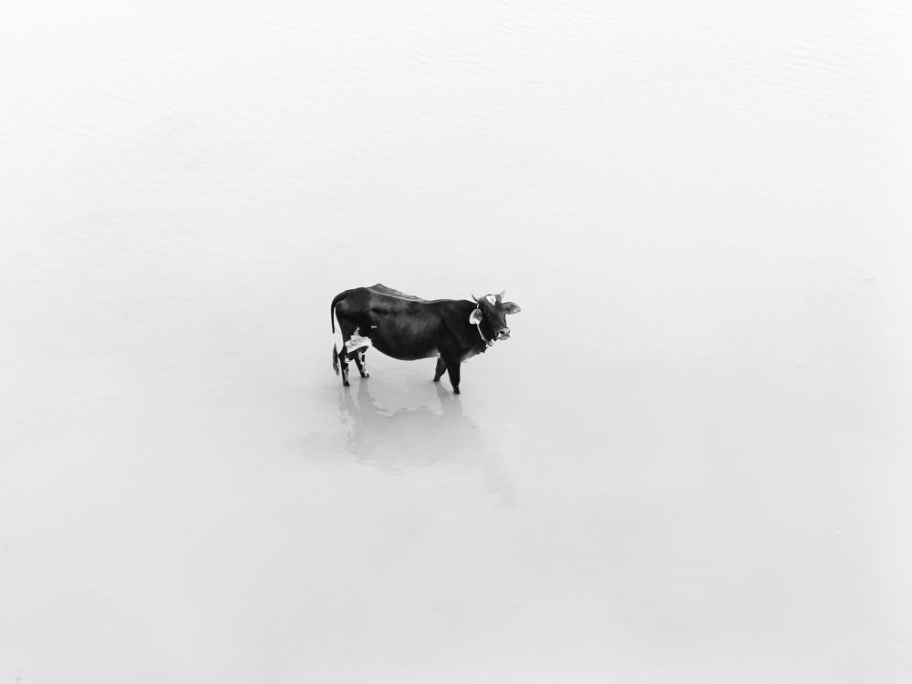 In the middle of the water.