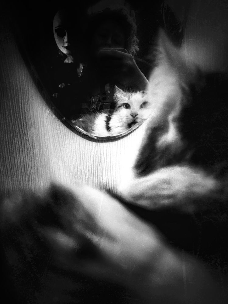 Photograph by Анна Лыкова