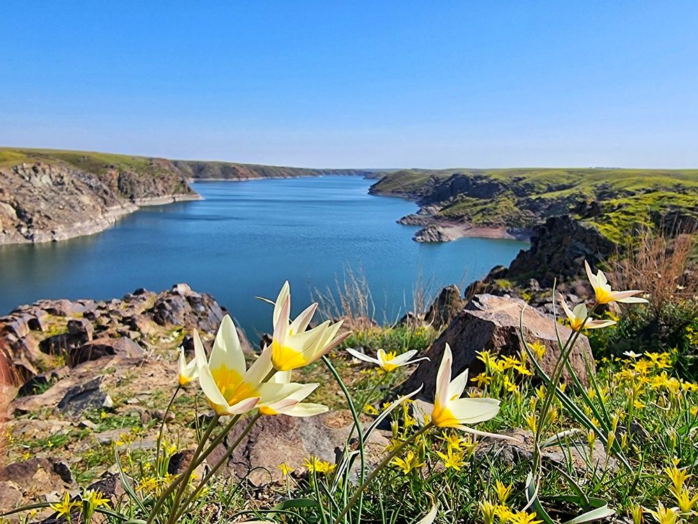 Photograph by Damir Amirov