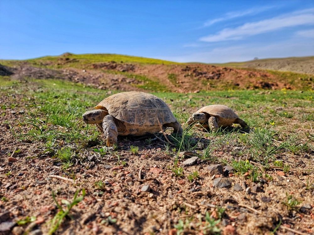 Photograph by Damir Amirov